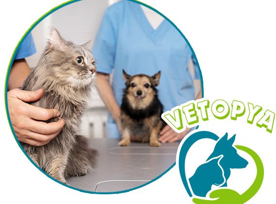 Urla Veteriner Kliniği